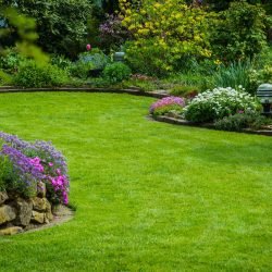 Blog-image-Multi-Level-Garden-Design